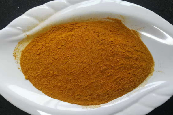 Raíz de la cúrcuma 