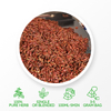 Té de desintoxicación de té Fructus Gardeniae