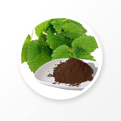 Extracto de hoja de melisa 