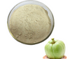 Extracto de Garcinia Cambogia