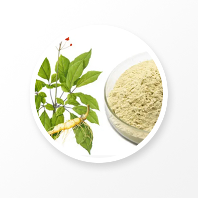 Polvo de extracto de ginseng 