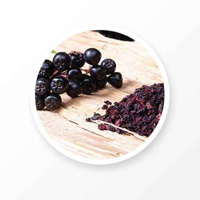 Extracto de chokeberry negro