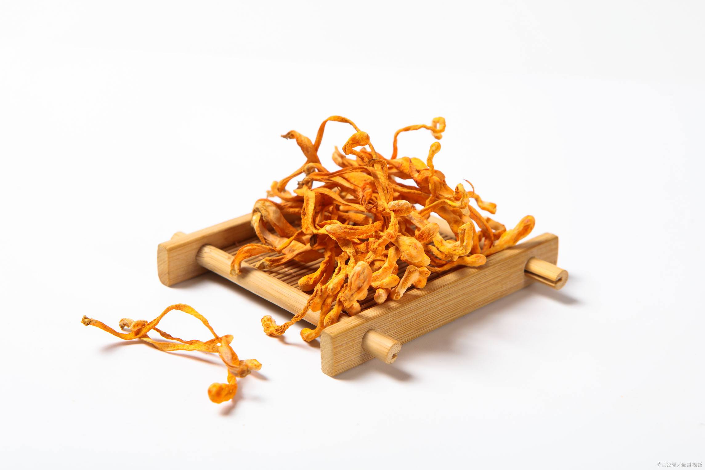 Extracto orgánico de Cordyceps militaris 