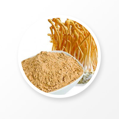 Extracto de Cordyceps 