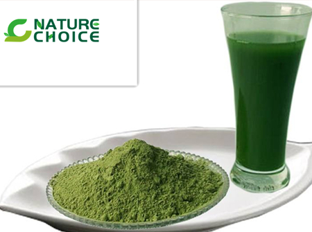 Polvo de jugo de alfalfa orgánico 