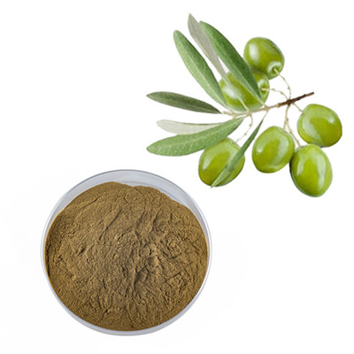 Extracto de oliva