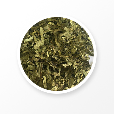 hoja de guayaba 